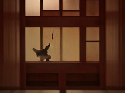 编辑团队在宽敞明亮的办公室内协作整理内容索引，多屏显示器呈现影视资讯分类页面，工作氛围认真专注